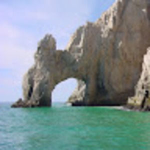 Meet your Posher, Archie